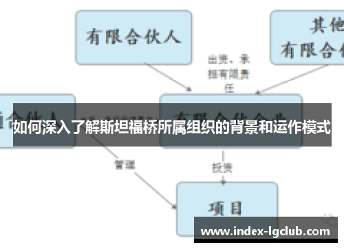 如何深入了解斯坦福桥所属组织的背景和运作模式