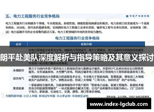 朗平赴美队深度解析与指导策略及其意义探讨